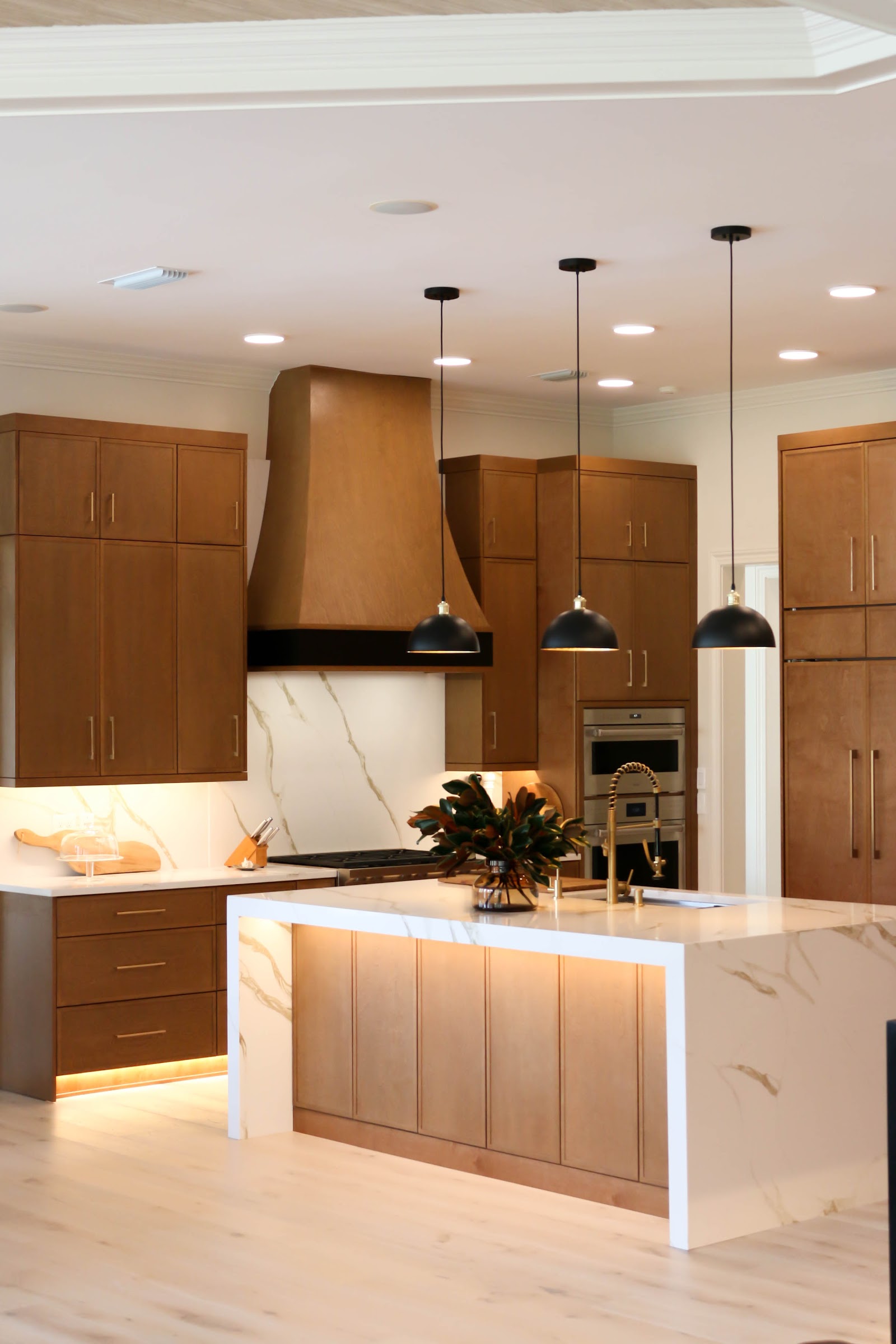 Warm Contemporary Kitchen Remodel in Jacksonville, FL by All-Pro Cabinets project photo 5